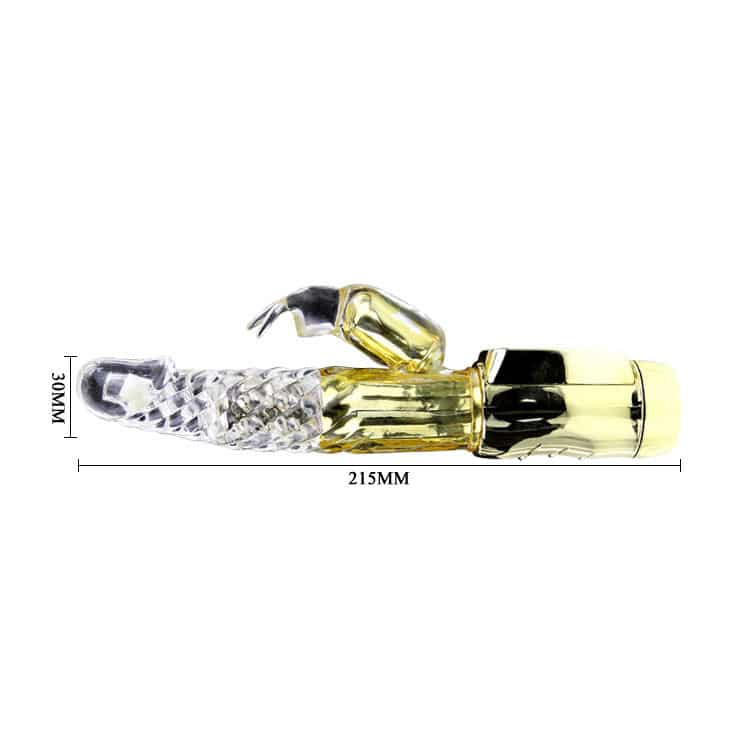 Baile - Ly- U.S. Coelhinho Gold Prince - Image 6