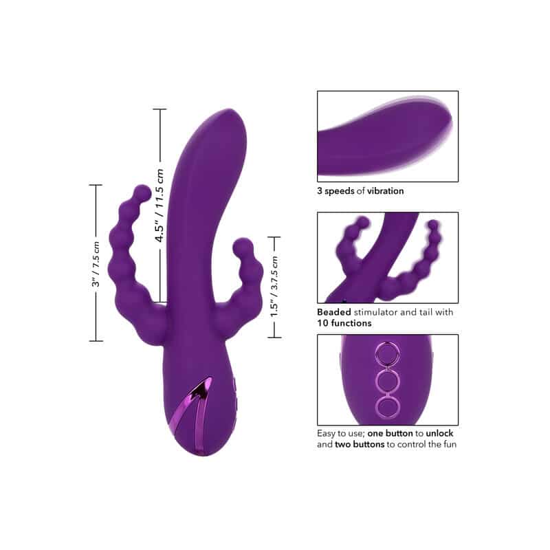 Calex Long Beach Bootylicious Roxo - Image 7