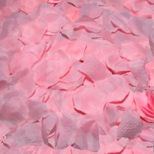 Diablo Picante - 100 Pétalas Rosa
