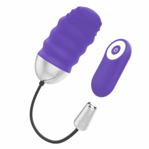 Mr Boss - Denis Egg Controle Remoto