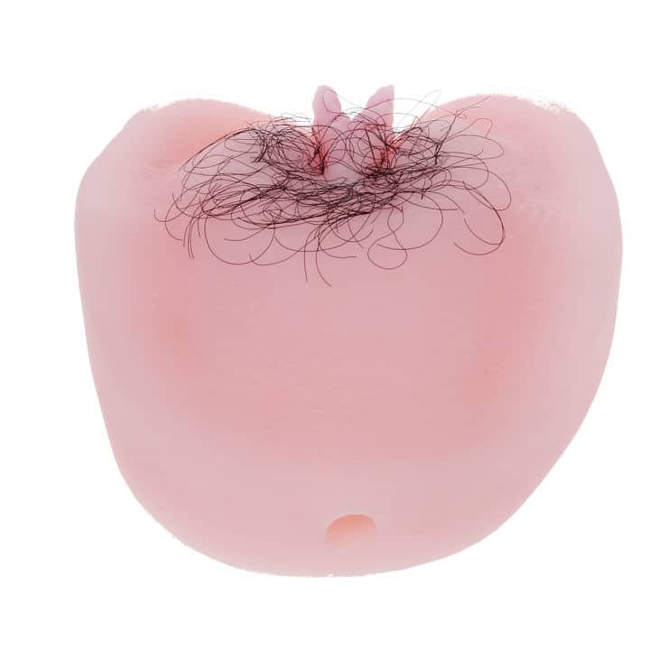 Baile - Anthea Magic Flesh Vibraton Buceta - Image 7