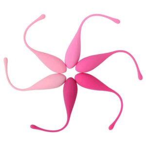 Leslie - Kegel Fit Pelvic Muscle Training Conjunto 6 Pcs