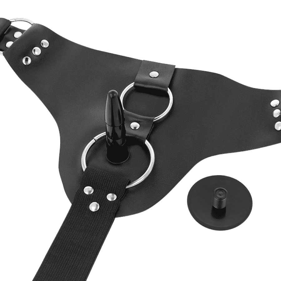 Harness Attraction - Rnes Taylor Deluxe 18 X 4,5cm - Image 5