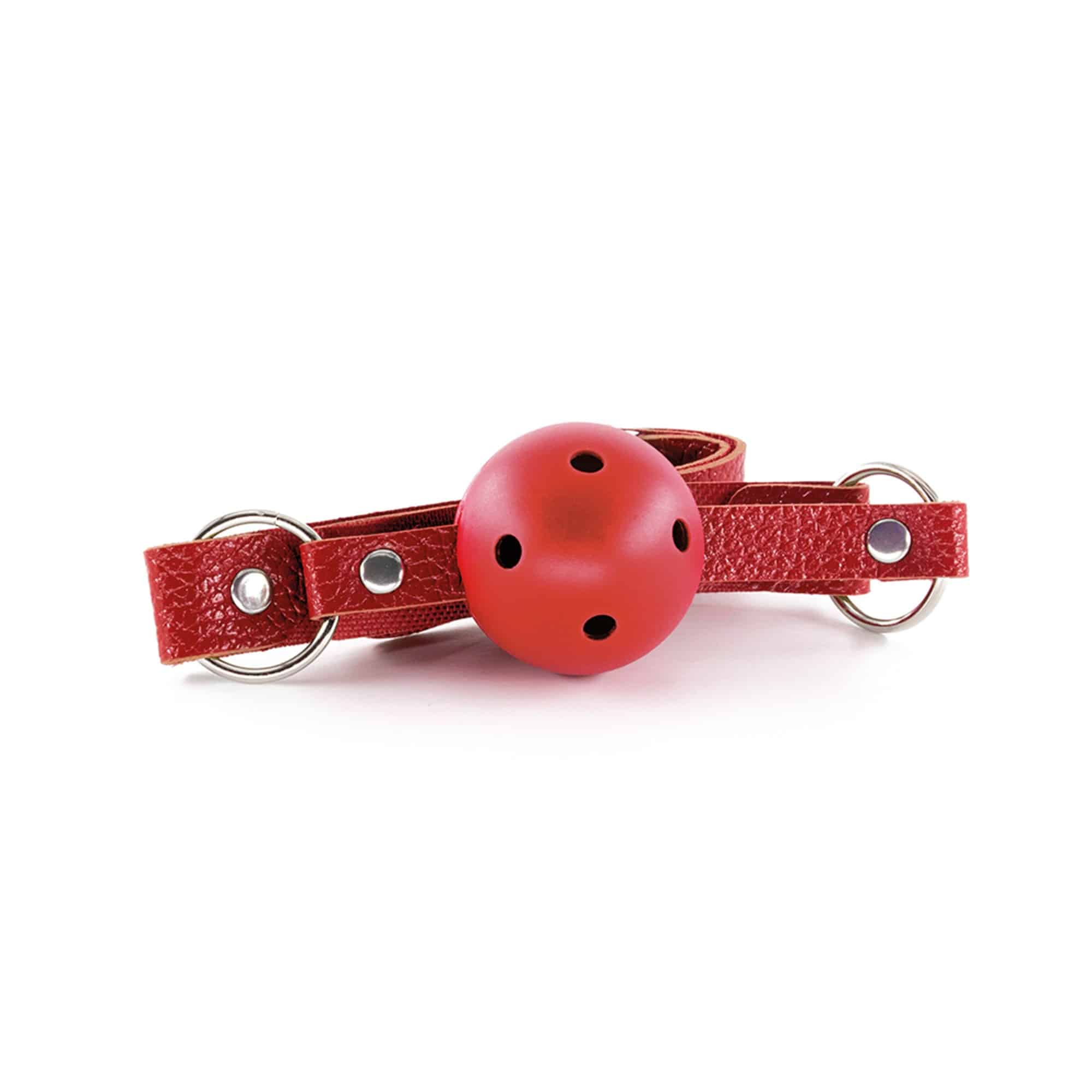 KIT BDSM DUNGEONS & MAIDENS VERMELHO CRUSHIOUS - Image 5