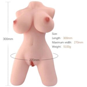 Armony - Torso Feminino Realista Modelo 5