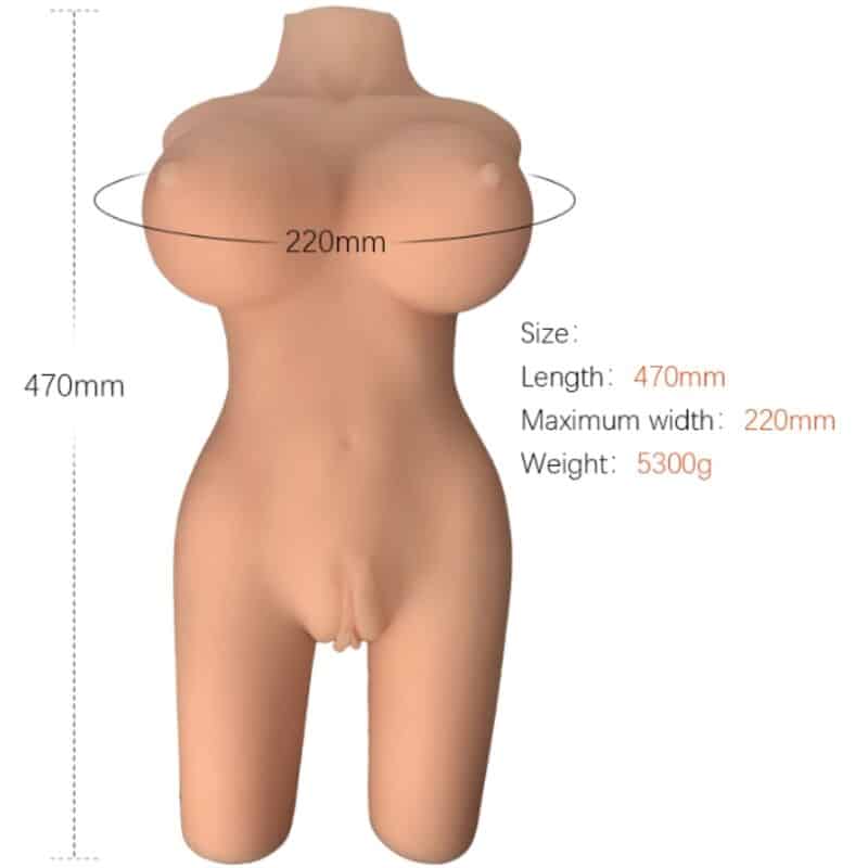 Armony - Modelo De Torso Feminino Realista 6 - Image 2