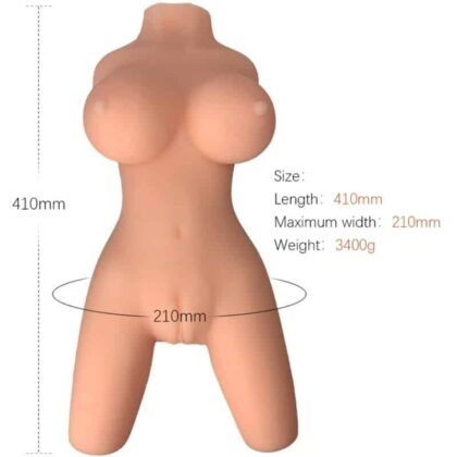 Armony - Modelo De Torso Feminino Realista 8