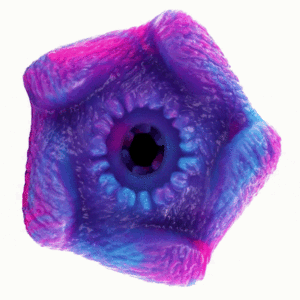 Epic - Thetis Masturbador Masculino Cyclops