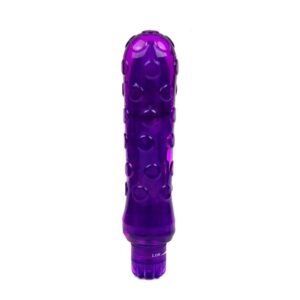 Vibrador Ciruela Roxo Libid Toys