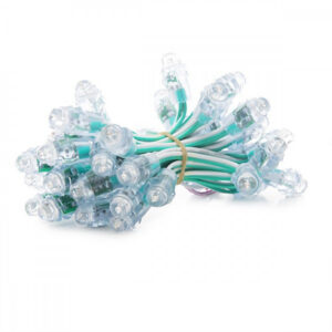 Fotografia do Pixel LED 0,1 W 2 lm 12 mm 5 V Epistar verde