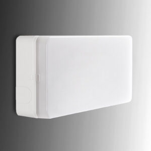 Alumbrado emergencia LED esera 60 lm 1 hora IP44