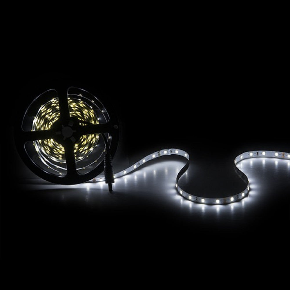Fotografia da Fita de 300 LED 40 W 4.000 lm CRI85 SMD2835 24 V DC IP20 x5 m -branco frio