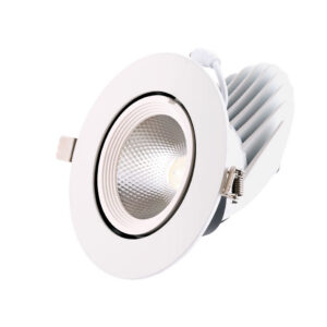 Fotografia do Foco downlight LED 24 W 3600 lm 4000 K circular ajustável