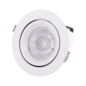 Fotografia do Foco downlight LED 30 W 4500 lm circular ajustável