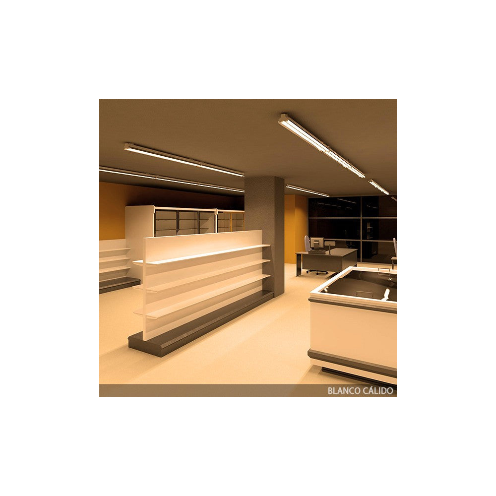 Tubo LED T8 10 W 1200 lm 60 cm cabeça giratória - Image 2