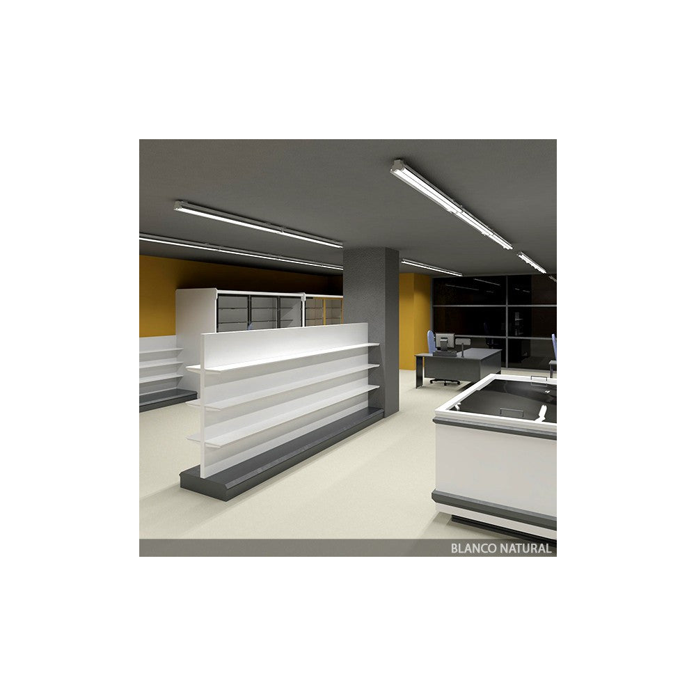 Tubo LED T8 10 W 1200 lm 60 cm cabeça giratória - Image 3